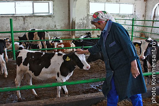 НЕ ДО ЖИРУ&lt;br />
Сотрудникам «Органика» пришлось забыть о больших надоях и урожаях ради заботы об окружающей среде