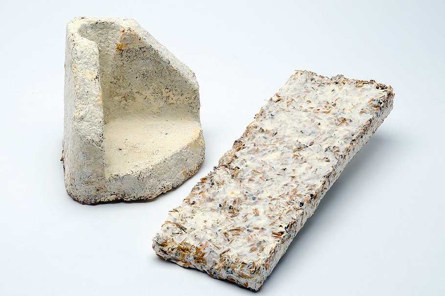 <B>Живая упаковка</B><br>Из грибов выращивают упаковочный материал,  заменяющий пенопласт