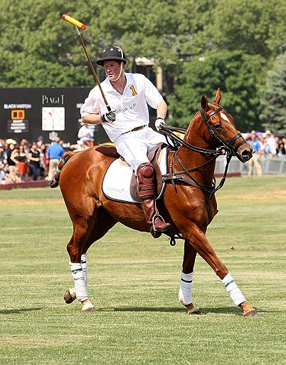 Британский принц Гарри на турнире Veuve Cliquot Manhattan Polo Classic...