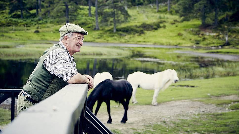 Прогулка по Glen Affric Estate