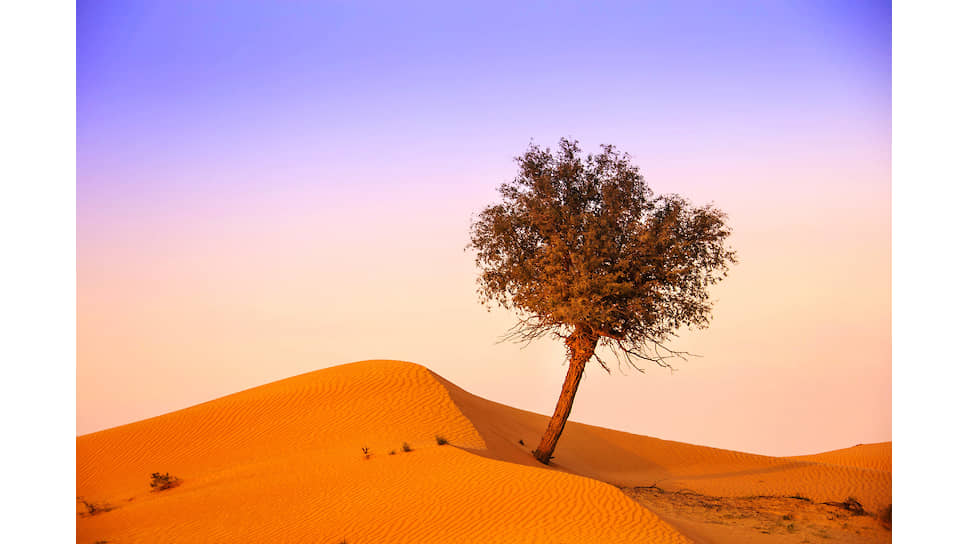 Вид на пустыню Руб-эль-Хали