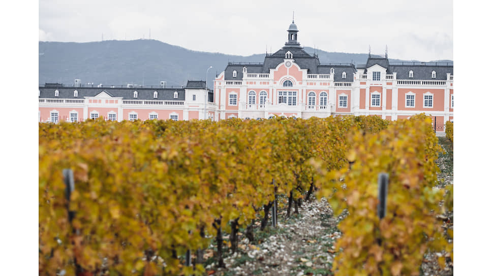 На винодельне Chateau de Talu