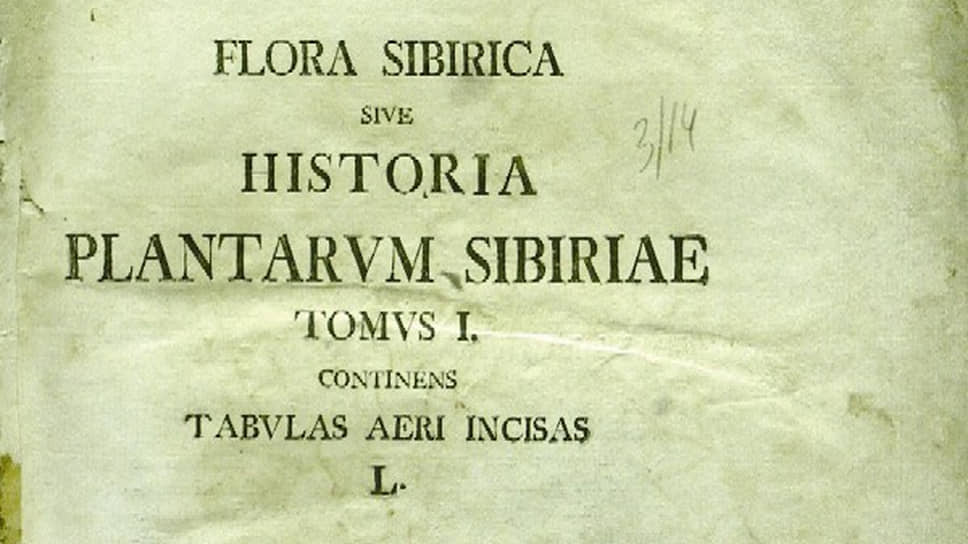 Многотомник Иоганна Георга Гмелина «Флора Сибири» был издан на латыни в 1747–1759 годах. Около 500 видов растений было описано Гмелином впервые