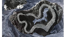 Путь бриллианта в украшениях ALROSA Diamonds