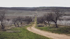 Некоторые любят похолоднее