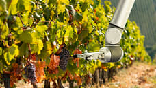 Мечты об электровинограднике