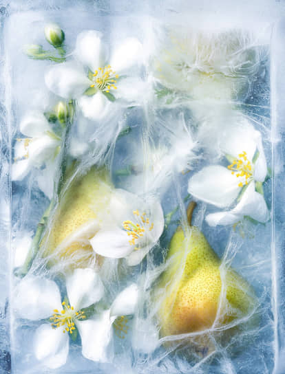 Коллекция ароматов Nordic Garden бренда Siberian Wellness