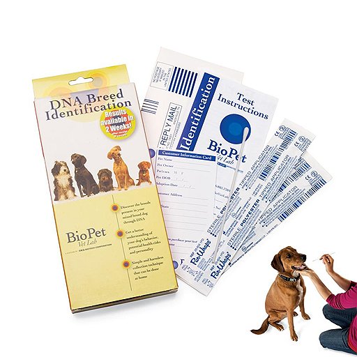 ДНК-тест для собак BioPet Breed Identification