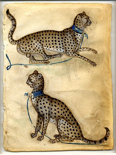 Неизвестный ломбардский художник. «Два гепарда», 1400–1410 годы. Корпусная краска и акварель на пергаменте