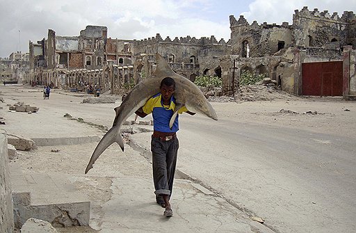 Омар Фейсал (для Reuters). &quot;Человек несет акулу по улицам Могадишо, Сомали, 23 сентября 2010 года&quot;. Первое место в категории &quot;Повседневная жизнь. Одиночные фотографии&quot;