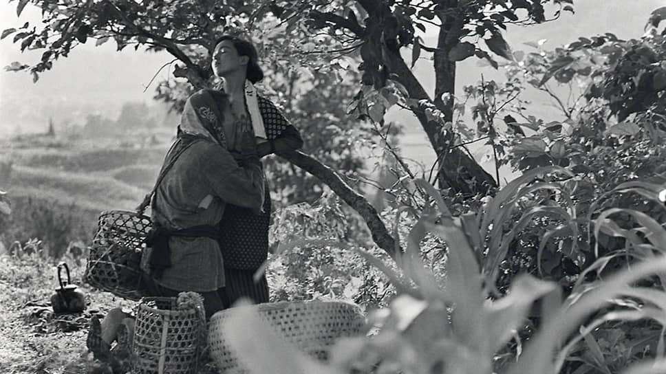 «Женщина-насекомое». Сёхэй Имамура, 1963