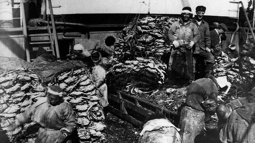 Разрешение на расширение добычи морепродуктов годами оставалось лучшим стимулом, заставляющим японцев снять все претензии к СССР