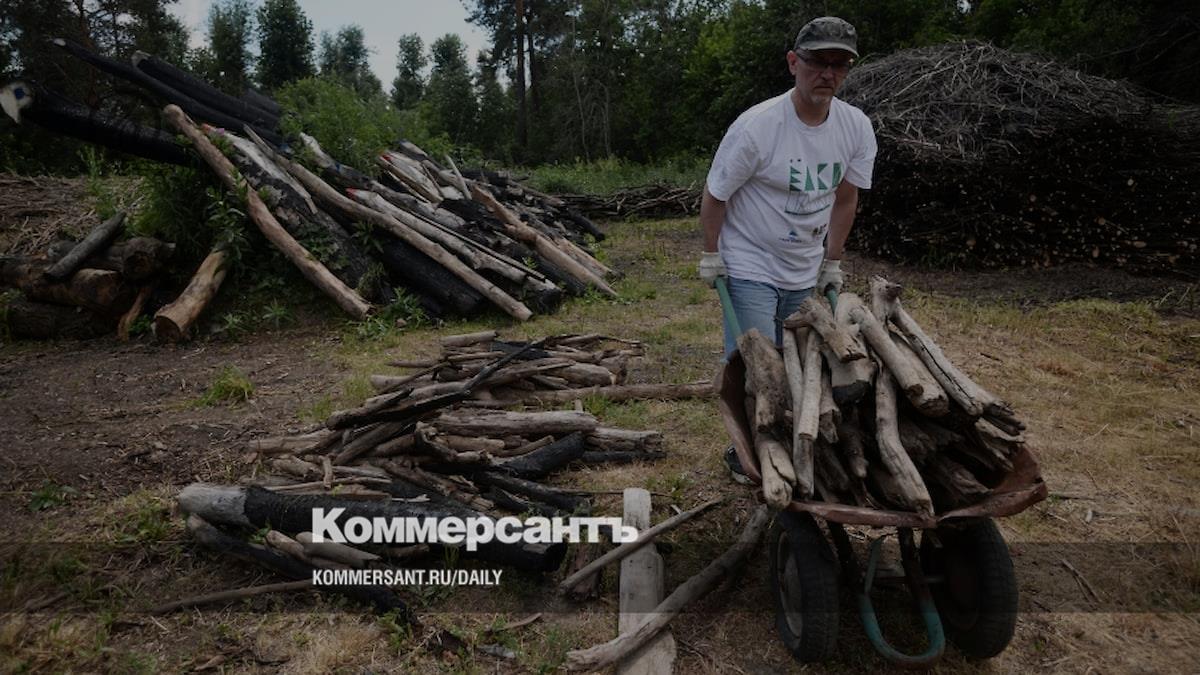 Тут главное лишних дров не наломать – Коммерсантъ