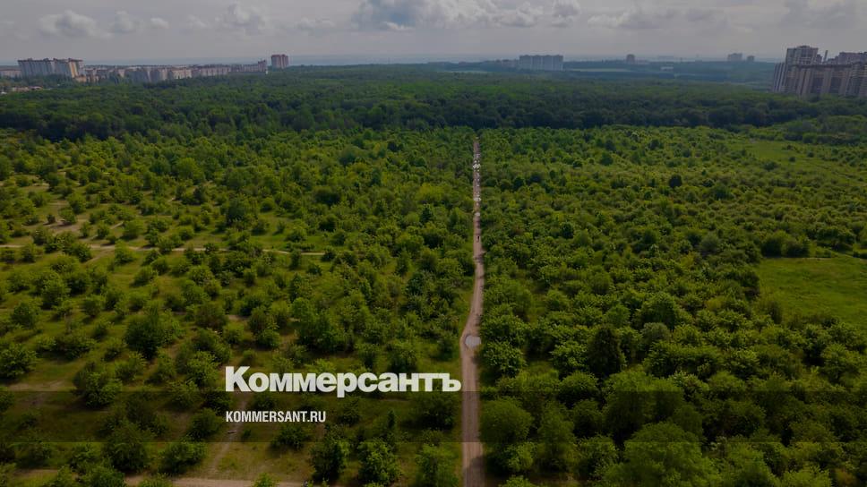 11 позиция яблоневый сад. Яблоневые сады дск. дск яблоневые сады воронеж. яблоневые сады воронеж застройка. дск яблоневые сады проект.