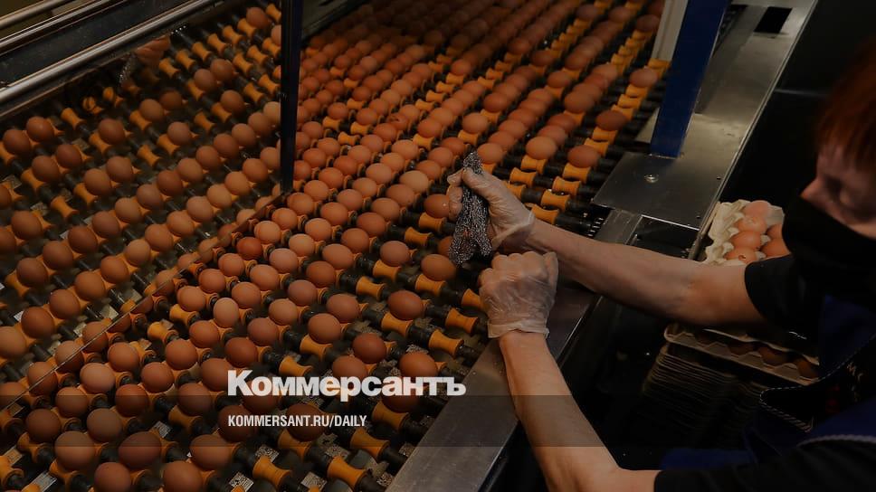 ПРОДО Птицефабрика Сибирская" инвестирует в расширение производства бройлеров бо