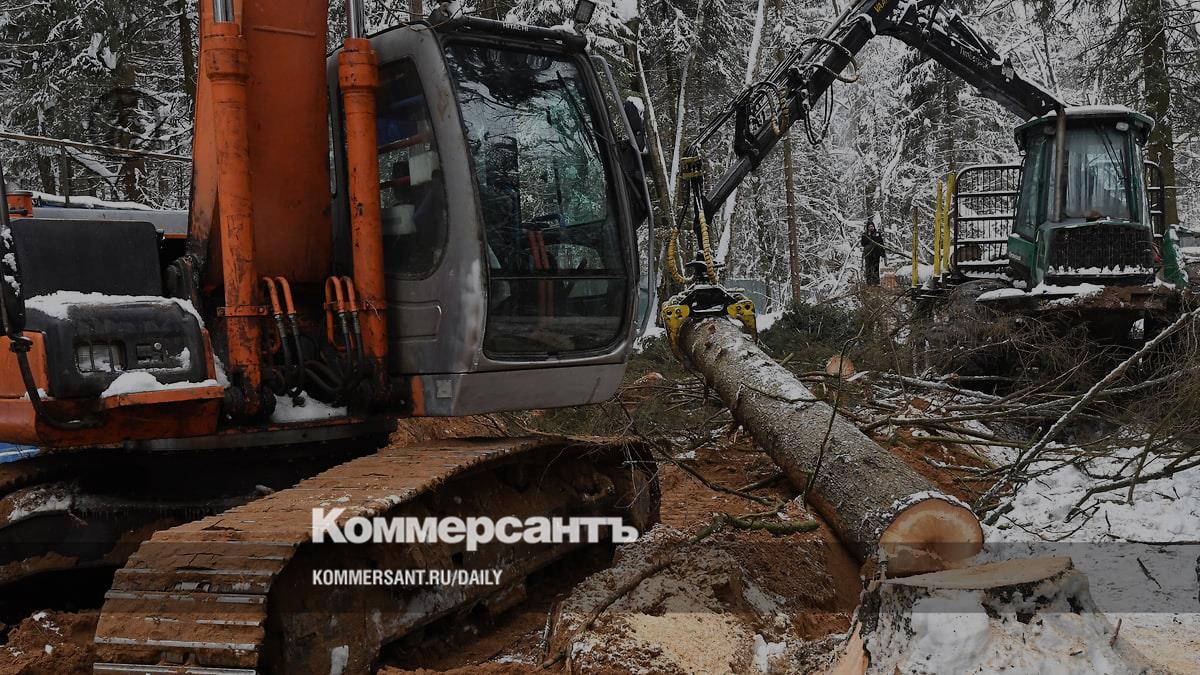 Лес рубят — кресла летят – Коммерсантъ