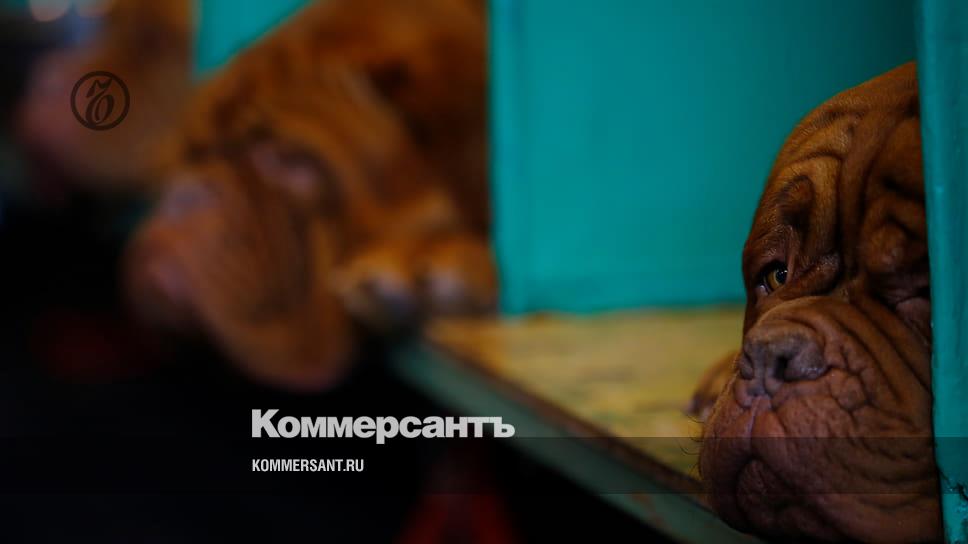 www.kommersant.ru