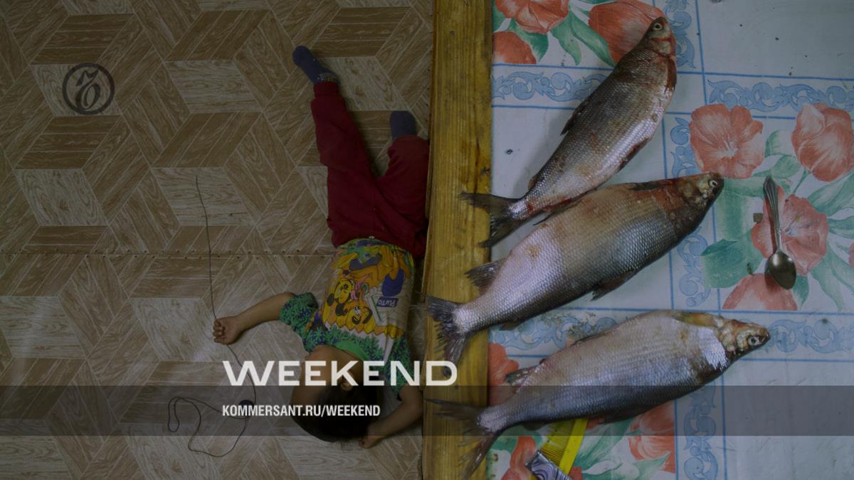 «Пока ты занят работой свидетеля — ты не турист» – Weekend