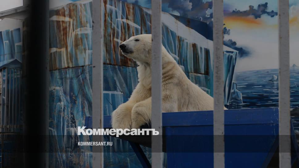 Заселять новый зоопарк животными начнут только в следующем году ...