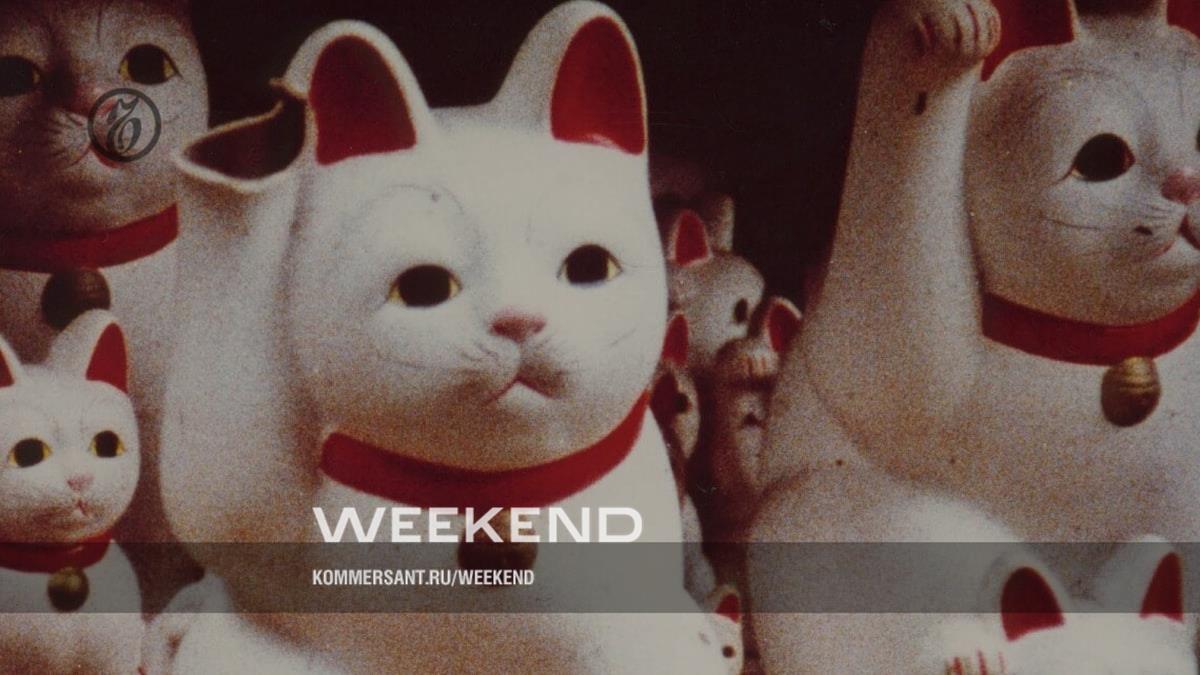 Коты и годы – Weekend