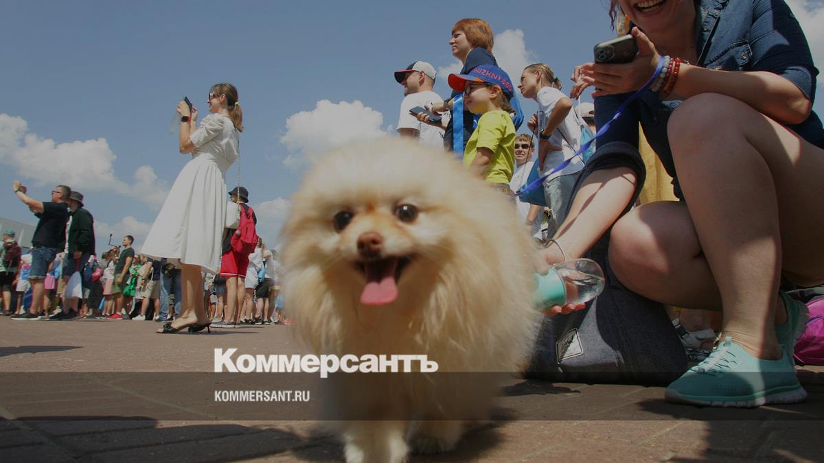 Дог-боксы установят в парках Нижнего Новгорода – Коммерсантъ Нижний ...
