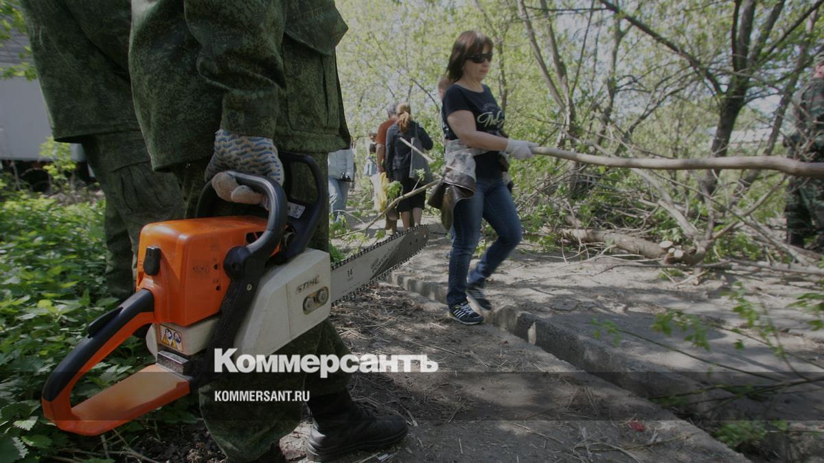 Спил деревьев в снт. Приспособления для спиливания деревьев. Средство для защиты после спиливания деревьев. Снос леса. ФС 22 мод спиливание деревьев