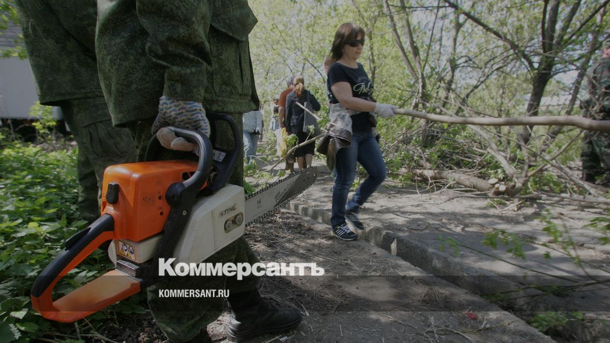 Приспособления для спиливания деревьев. Средство для защиты после спиливания деревьев. Снос леса. ФС 22 мод спиливание деревьев.