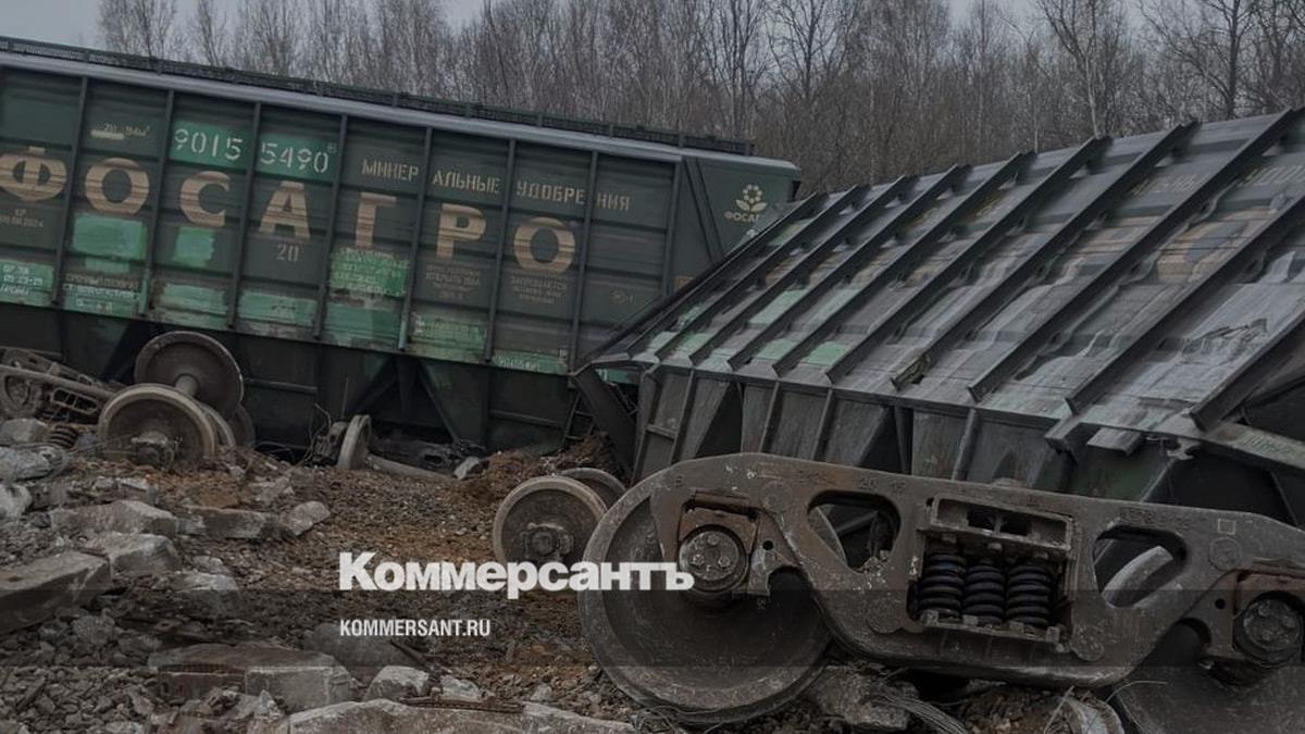 В Рязанской области сошли с рельсов 19 вагонов грузового поезда –  Коммерсантъ