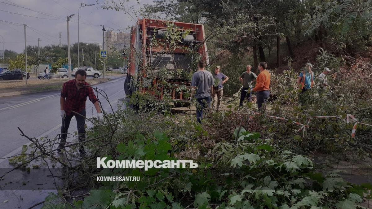 Не откосили от обязанностей – Коммерсантъ Краснодар