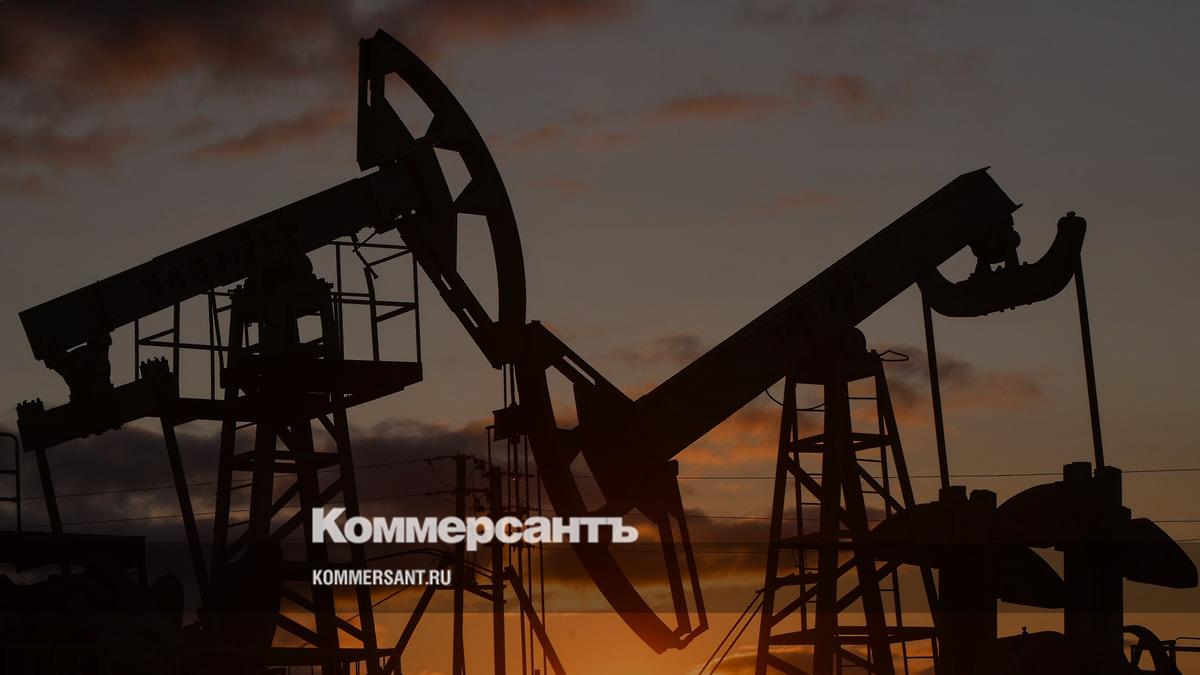 www.kommersant.ru