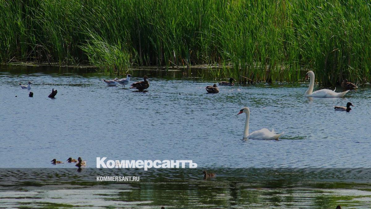 Жители микрорайона опасаются, что строительство жилкомплекса приведет к  осушению их любимого озера