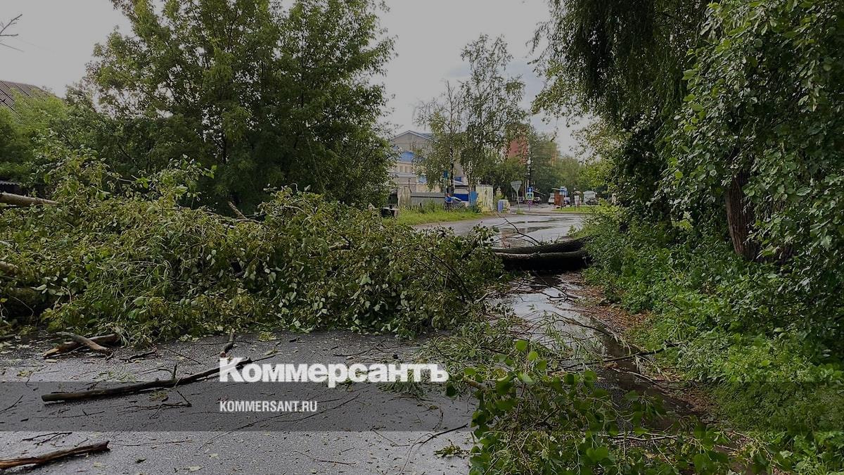 Данилов остался без воды и электричества из-за урагана – Коммерсантъ  Ярославль