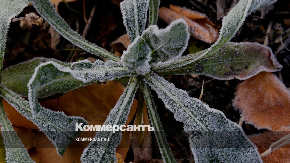 Гололед и до -3 градусов мороза пообещали петербуржцам 4 декабря