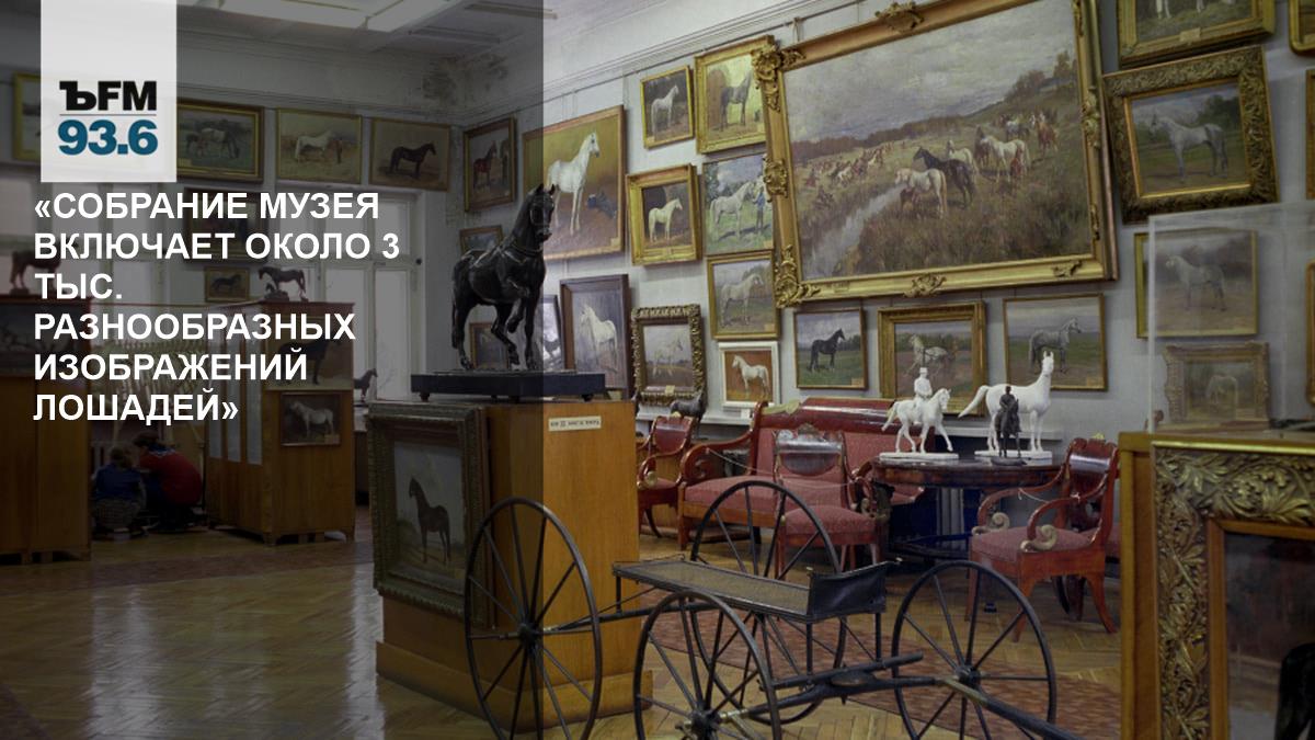 «Собрание музея включает около 3 тыс. разнообразных изображений лошадей» // Дмитрий Буткевич — о Научно-художественном музее коневодства