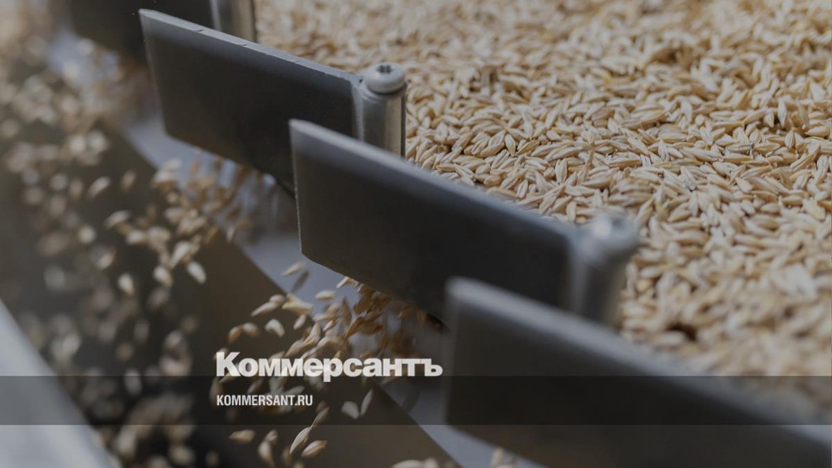 Ограничения в еде