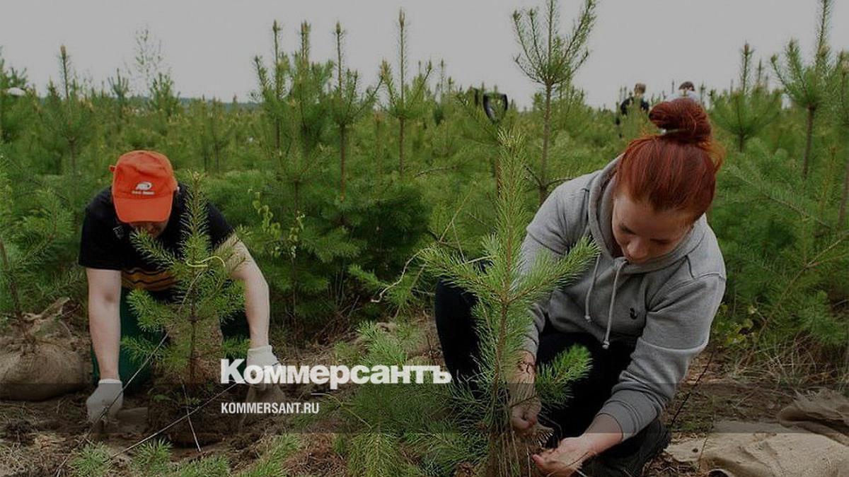 Http:domamavir.dns.armyДомокомплекты в на Кубани акция