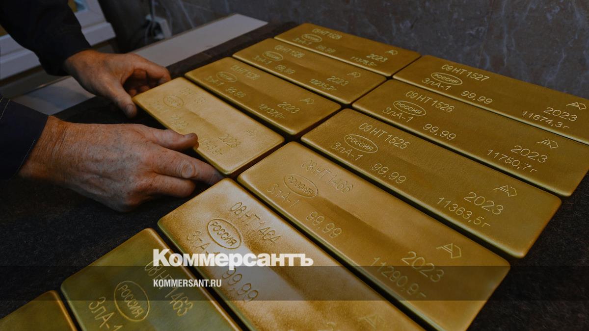 Золотые резервы России достигли рекордных 0,7 млрд в ноябре